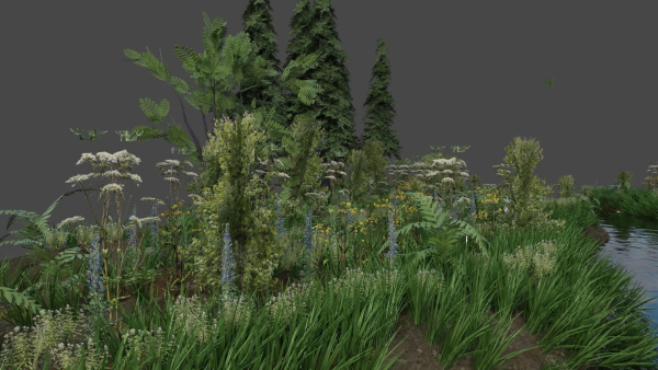 Scene river in forest