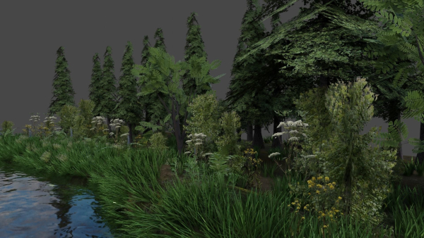 Scene river in forest