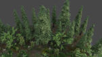 Scene river in forest