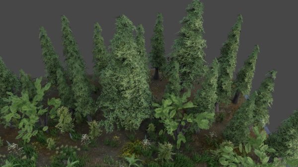 Scene river in forest