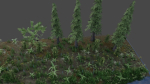 Scene river in forest