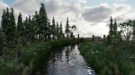 Scene river in forest