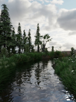 Scene river in forest