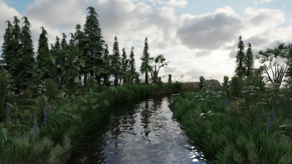 Scene river in forest