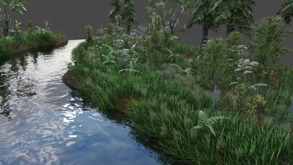 Scene river in forest
