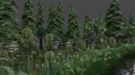 Scene river in forest