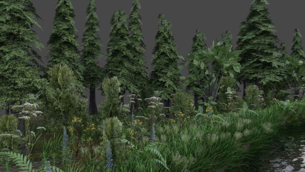 Scene river in forest