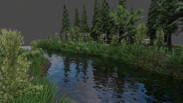 Scene river in forest
