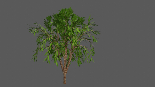 Season Tree Pack