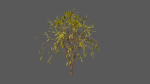 Season Tree Pack