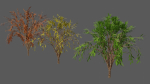 Season Tree Pack