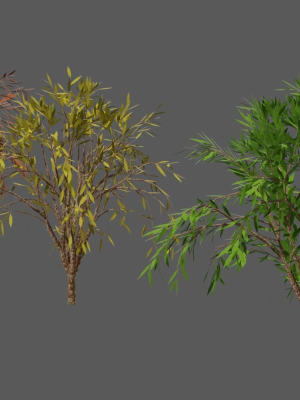 Season Tree Pack