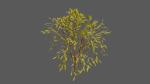 Season Tree Pack