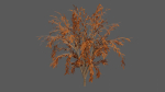 Season Tree Pack