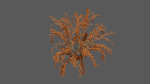 Season Tree Pack
