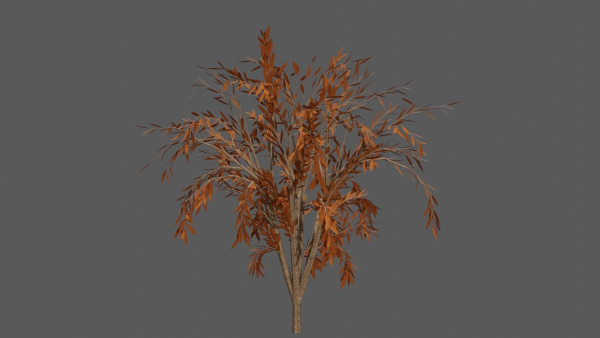 Season Tree Pack