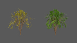 Season Tree Pack