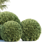 Seasonal Juniper Garden collection vol 143