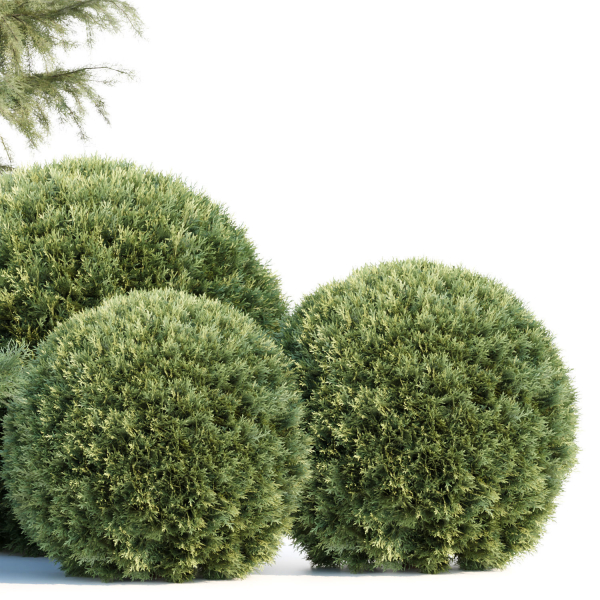 Seasonal Juniper Garden collection vol 143