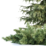 Seasonal Juniper Garden collection vol 143