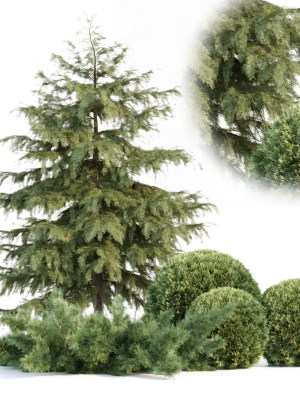 Seasonal Juniper Garden collection vol 143