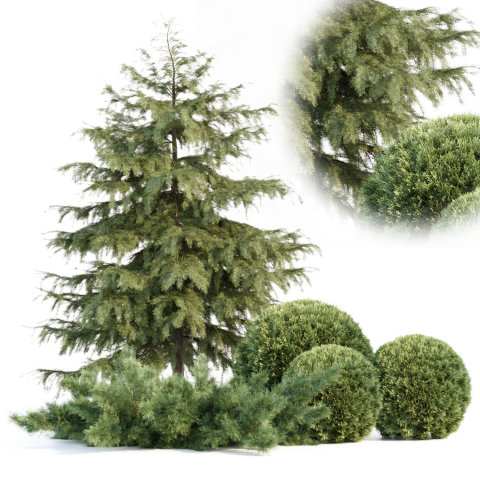 Seasonal Juniper Garden collection vol 143