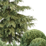 Seasonal Juniper Garden collection vol 143