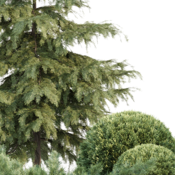 Seasonal Juniper Garden collection vol 143