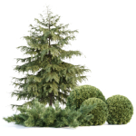 Seasonal Juniper Garden collection vol 143