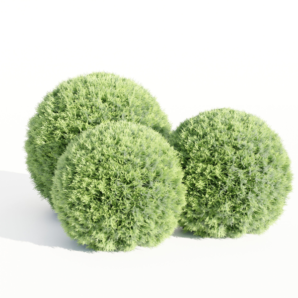 Juniper Garden collection vol 143-Blender