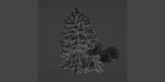Juniper Garden collection vol 143-Blender