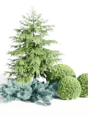 Juniper Garden collection vol 143-Blender