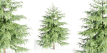 Juniper Garden collection vol 143-Blender