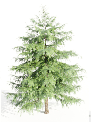 seasonal-juniper-garden-collection-vol-143-blender-3d-model-f3c30f7bbe