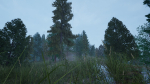 Sequoia Lite