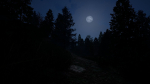 Sequoia Lite