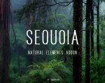 Sequoia Lite