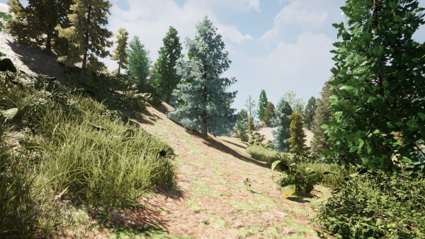 Sequoia Lite
