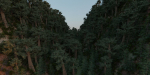 Sequoia Lite
