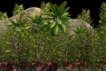 Sequoia Lite