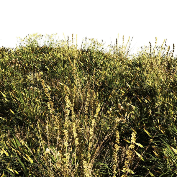 set Grass with Flower07arc