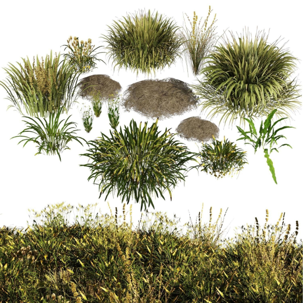 set Grass with Flower07arc