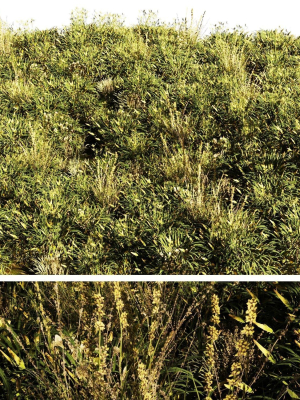 set Grass with Flower07arc