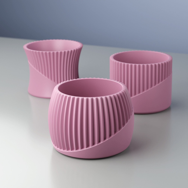 Set of 03 Flower Succulent Planter Pots with Drain Holes