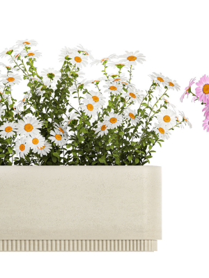 set-of-garden-flower-bushes-chamomile-chrysanthemum-1474-3d-model-33bcc59472