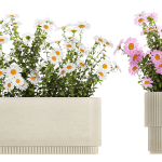 Set of garden flower bushes Chamomile Chrysanthemum 1474