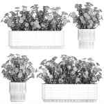 Set of garden flower bushes Chamomile Chrysanthemum 1474