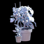 Set of plants 06