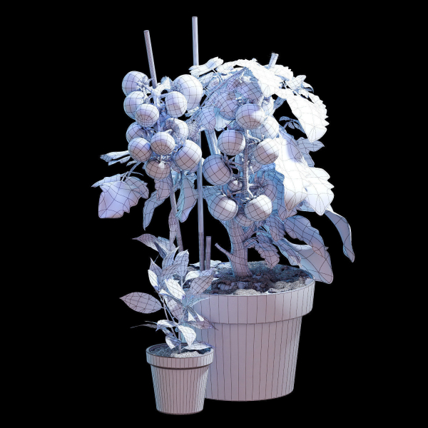 Set of plants 06