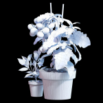 Set of plants 06